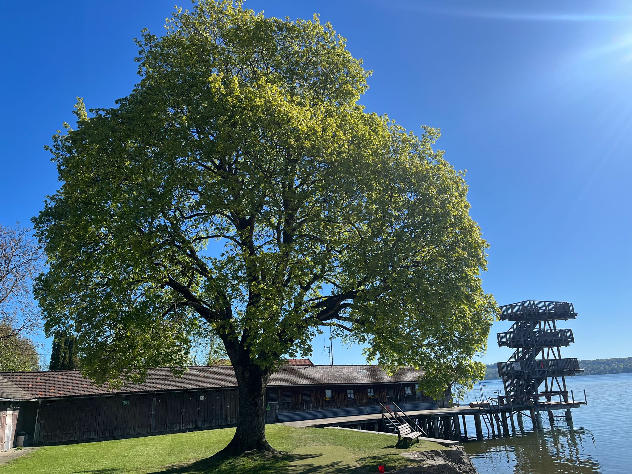 Strandbad Utting am Ammersee mit Sprungturm und Baum